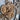 HORLOGE MURALE AVEC VRAIS ENGRENAGES MOBILES 36 POUCES BEIGE DU DESERT