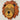 LION DES ANIMAUX