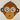 ANIMAL SINGE